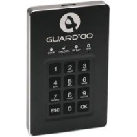 Защищенный накопитель Samurai GuardDo 500GB (Black)