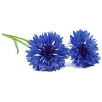 Комплект картриджей Click & Grow Василек 3 Pack (Blue)