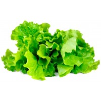 Комплект картриджей Click & Grow Зеленый салат 3 Pack