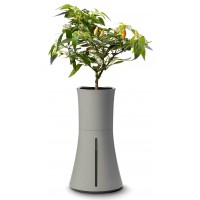 Умная ваза Botanium (Ash Grey)