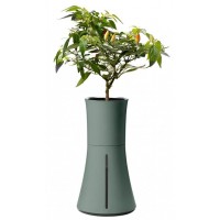 Умная ваза Botanium (Laurel Green)