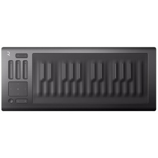 ROLI Seaboard RISE 25 - MIDI-контроллер (Grey) оптом