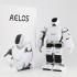 Робот Leju Robotics Aelos 1 оптом