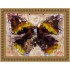 Интерьерная картина маслом (30 х 40 см) Papillon оптом