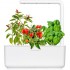 Умный сад Click and Grow Smart Garden 3 Базилик / Томаты Черри / Перец Чили (белая крышка) оптом