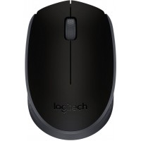 Беспроводная мышь Logitech Wireless Mouse M171 910-004424 (Black)