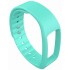 Ремешок iWown Wristband (I6HRgreen) для iWown i6HR (Green) оптом