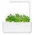 Комплект картриджей Click & Grow Кресс-салат 3 Pack оптом