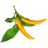 Комплект картриджей Click & Grow Перец Чили желтый 3 Pack (Yellow) оптом