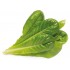 Комплект картриджей Click & Grow Римский Салат 3 Pack (Green) оптом