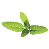Комплект картриджей Click & Grow Шалфей 3 Pack (Green)