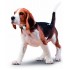 Трекер для домашних животных Tractive GPS Pet Tracking Device (TRATR1) оптом