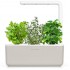 Умный сад Click & Grow Smart Garden 3 Чайный набор (Biege) оптом