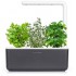 Умный сад Click & Grow Smart Garden 3 Чайный набор (Graphite) оптом