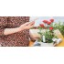 Xiaomi Mi Flower Monitor - датчик для растений оптом